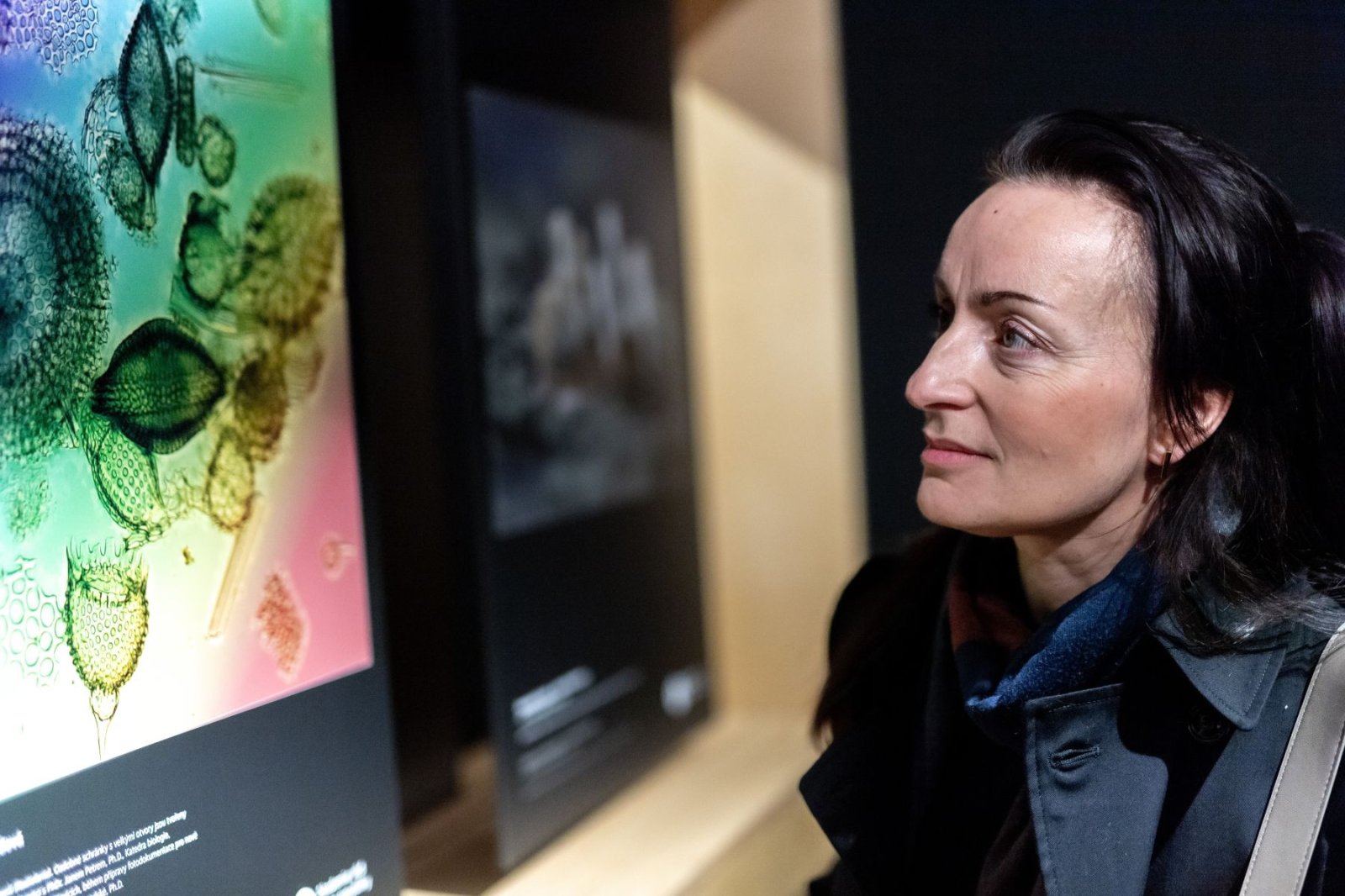 Mechorost jako predátor. Výstava Věda fotogenická ukazuje krásy vědy i humor
